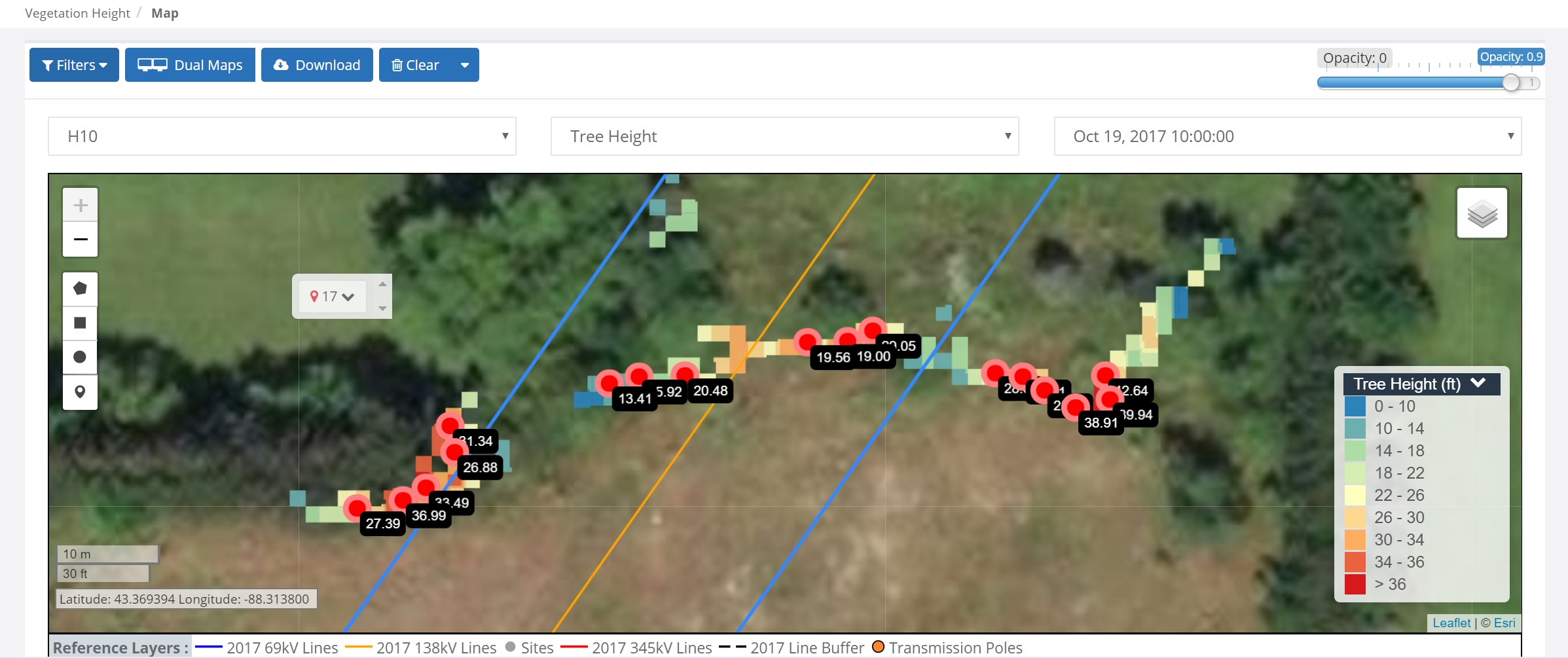 Measuring Tree Height