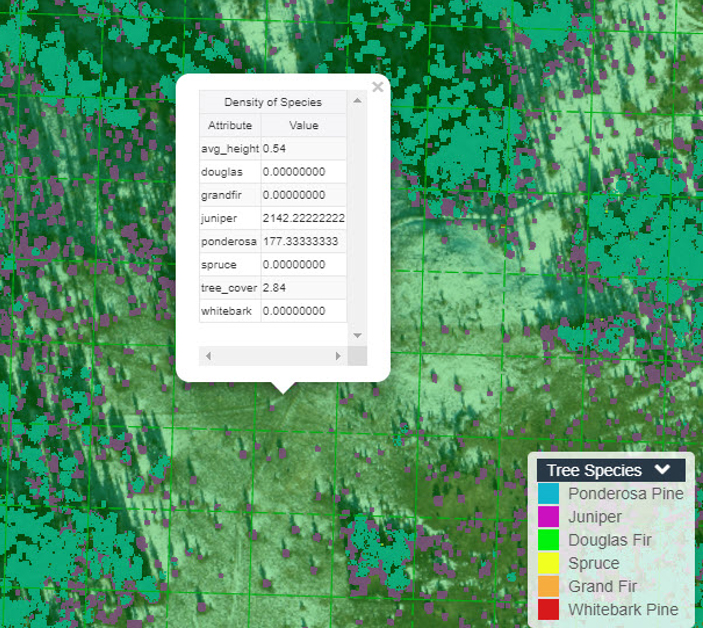 Assessing Tree Density