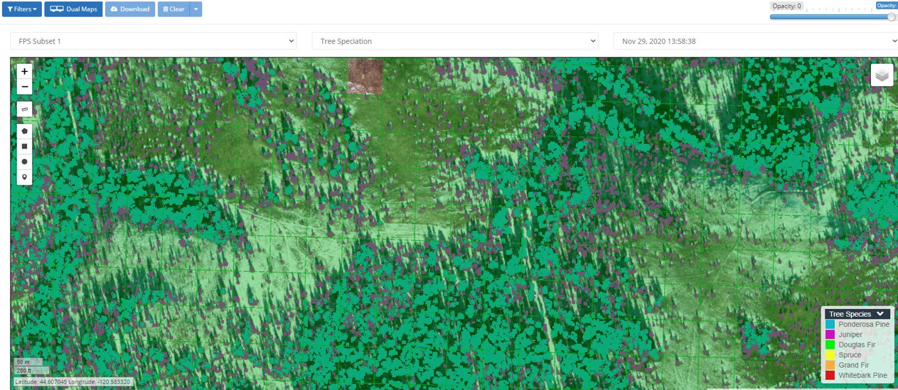 Vegetation Speciation